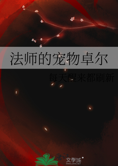 法师宠物多久叛变