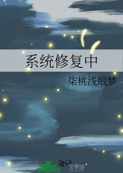 系统修复项