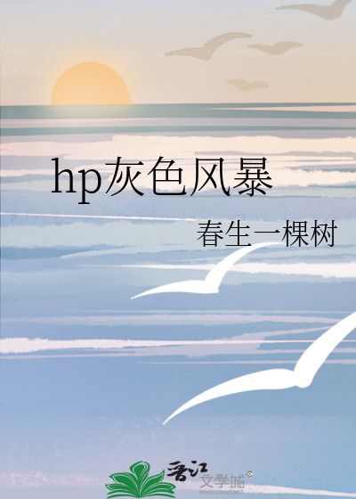 hp灰色年华