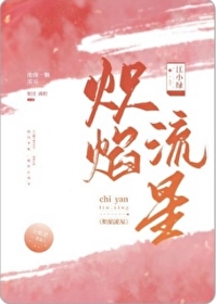 炽焰流星 小说