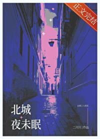 北城夜未眠小说免费阅读txt