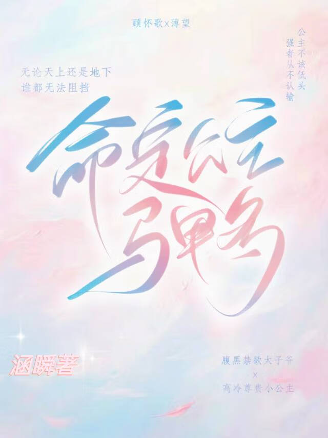 公主命小说