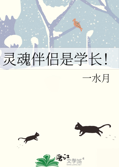灵魂伴侣的真相