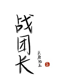 战团长杆武器推荐