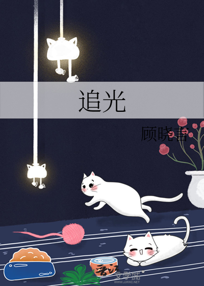 追光而遇