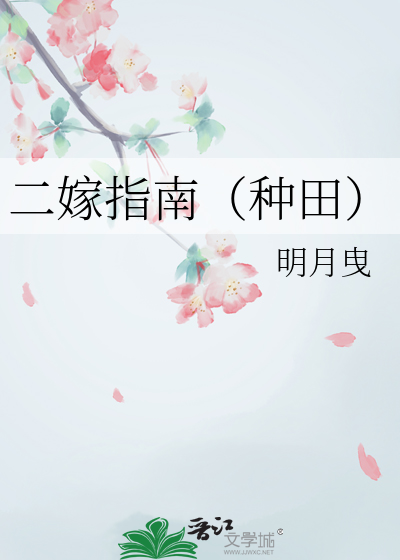 二嫁全文阅读