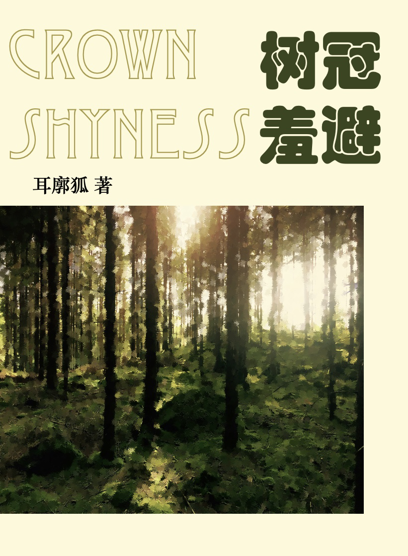 树冠羞避的隐喻