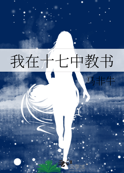 我在十七中教书小说