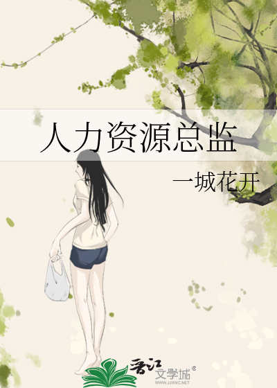 人力资源总监工作总结