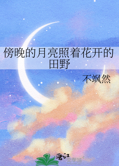 傍晚的月亮小说讲什么