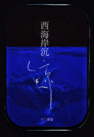 沉鲸的寓意和象征