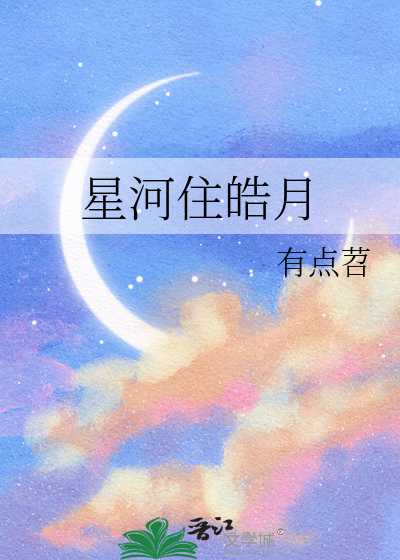 星河皓月鸟瞰图
