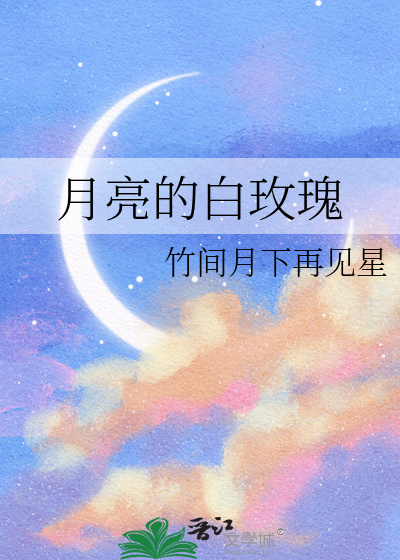 白玫瑰月季图片