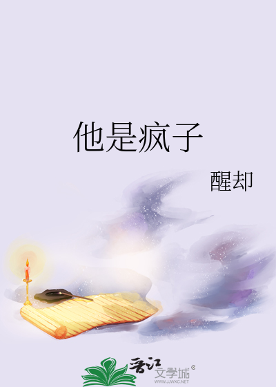 他是疯子小说