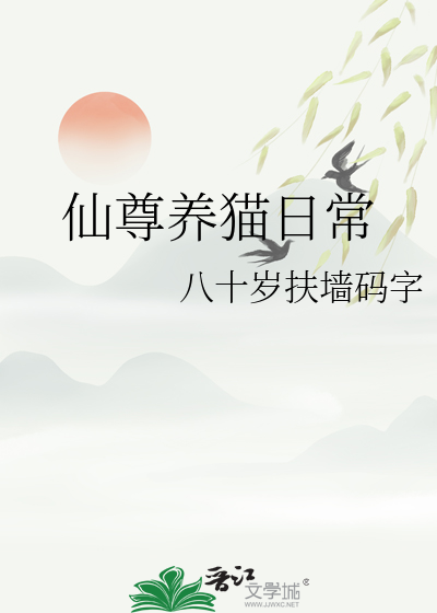 养猫日常视频