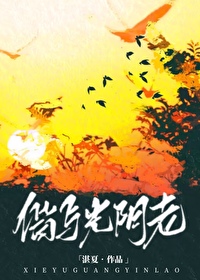 偕老的意思