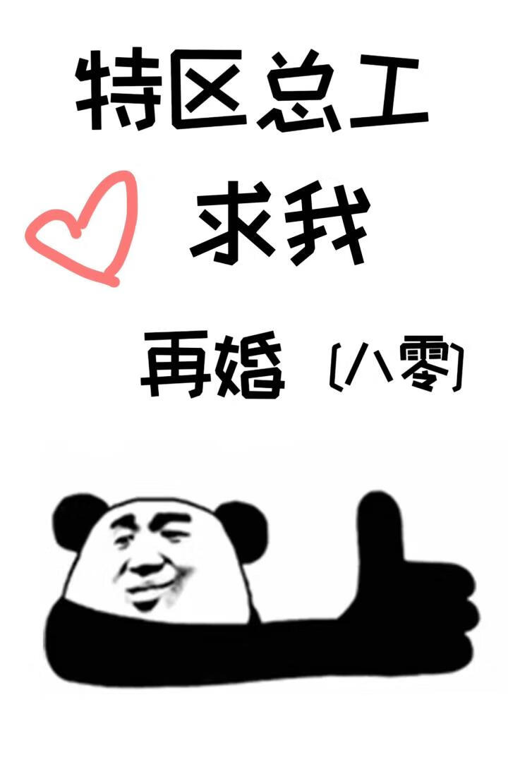 一篇狗血追妻百合文小说