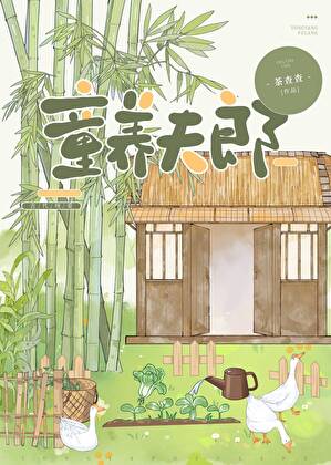老实人beta重生成钓系美人