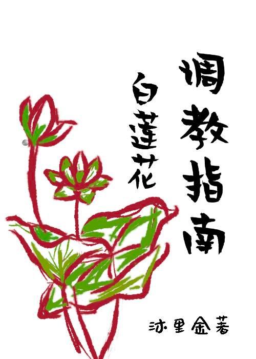 倾风倾雨