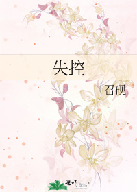 忍者日常小说